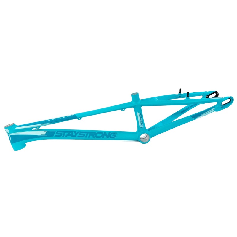 Stay Strong For Life V3 BMX Race Frame-Aqua Expert