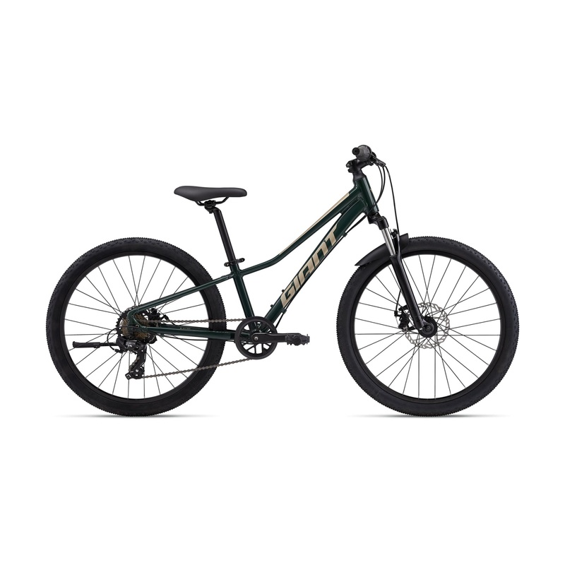Talon 24 Disc