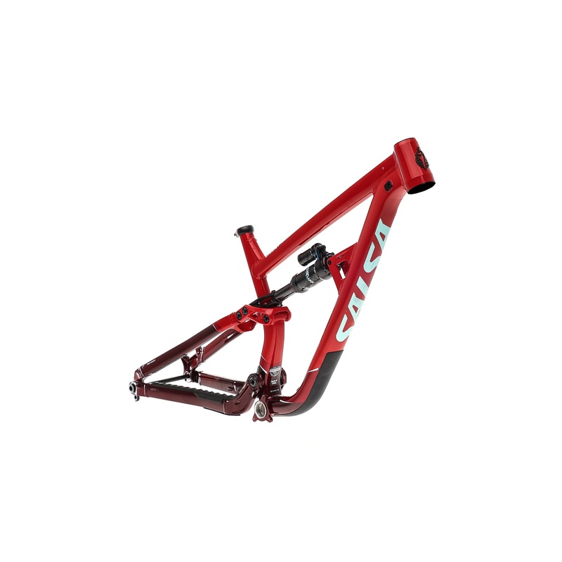 Salsa Cassidy Medium Frame – 2021
